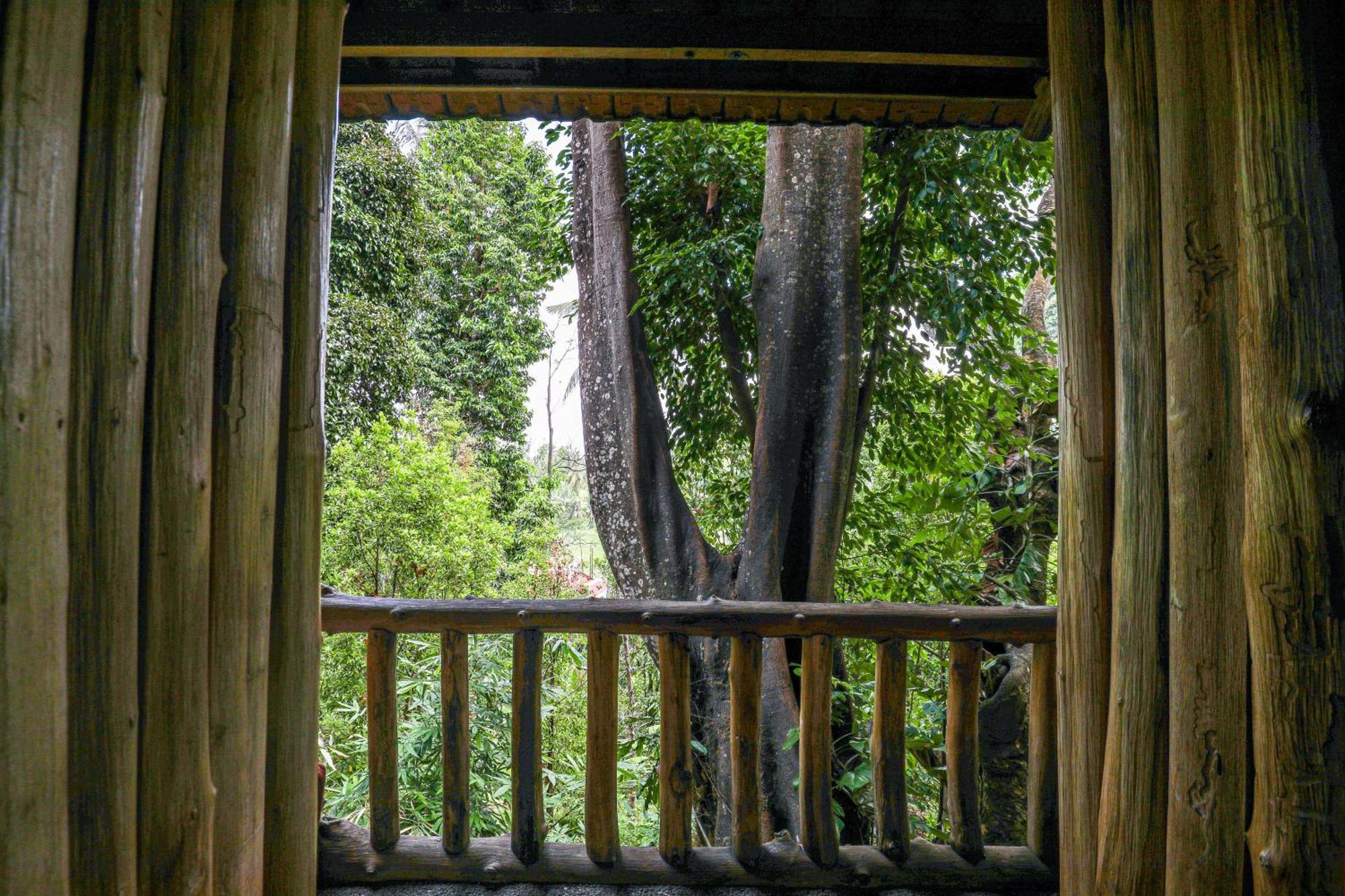 Omunity Bali Hotel Singaraja Kültér fotó