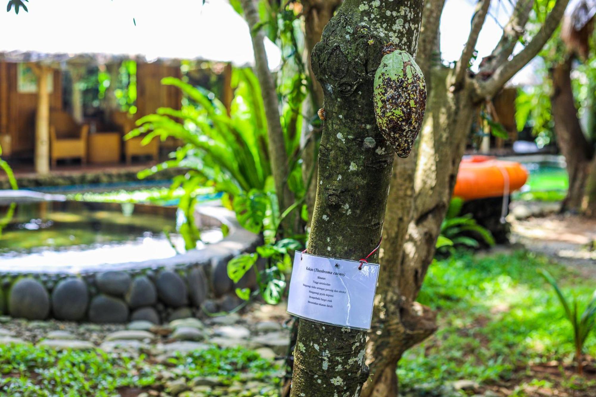 Omunity Bali Hotel Singaraja Kültér fotó