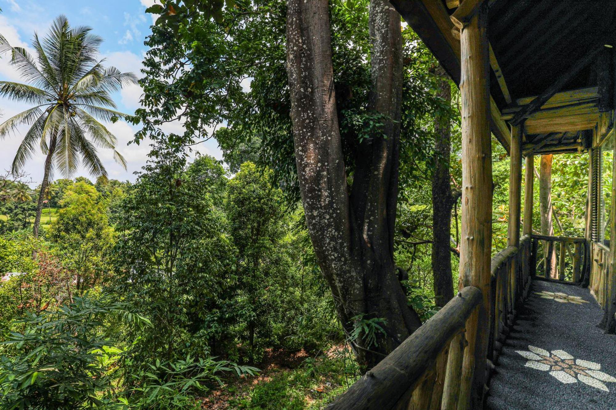 Omunity Bali Hotel Singaraja Kültér fotó