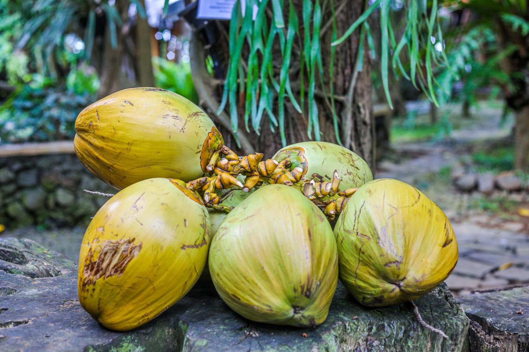 Omunity Bali Hotel Singaraja Kültér fotó