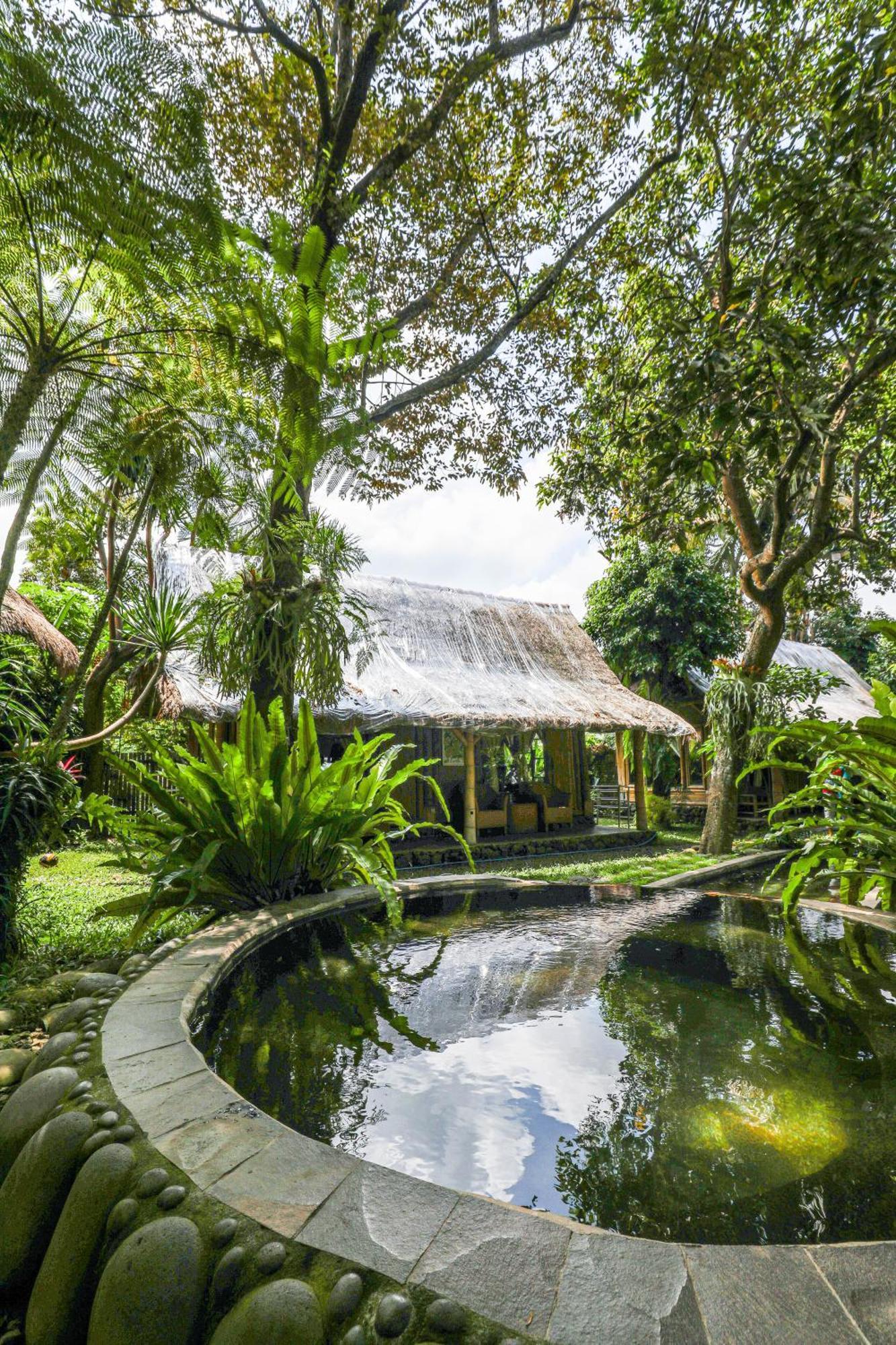 Omunity Bali Hotel Singaraja Kültér fotó